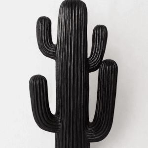 Cactus en céramique noire