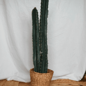 Objet
