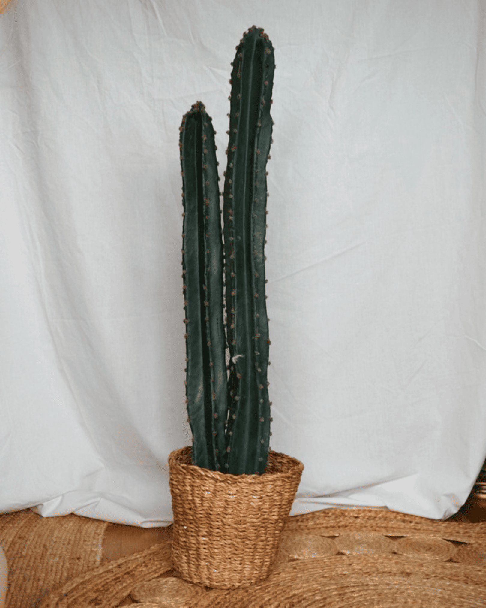 Cactus artificiel