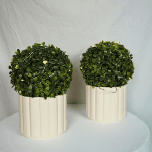Pots avec faux buis et guirlande lumineuse